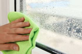 Hand wiping window