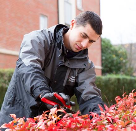 Contractor maintaining a garden